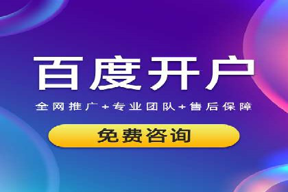 SEM服务托管：提升广告效果的成功案例解析